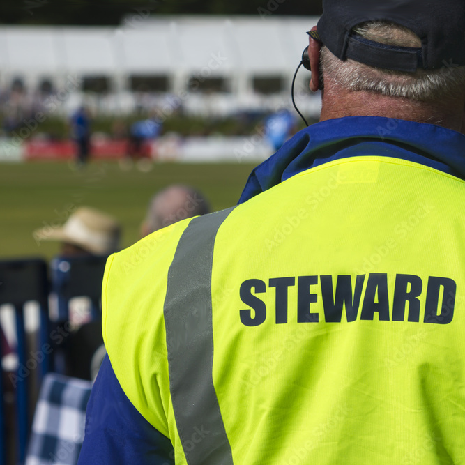 steward.png steward.png